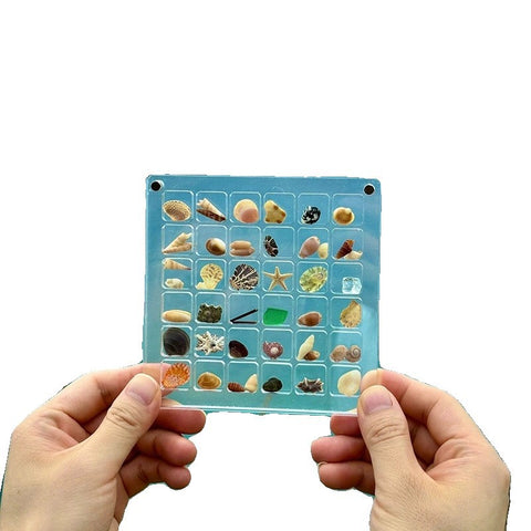 Acrylic magnetic shell storage box m3331018